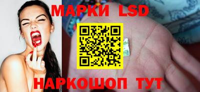 стаф Баксан